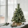 2ft Puleo Pre-Lit Flocked Tabletop Artificial Christmas Tree Clear Lights: LED, Burlap Base, Indoor Use -Northlight Sale GUEST bd55c3ce 8f5f 4a20 960b c97603720188