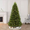 9ft Pre-lit Artificial Christmas Tree Full Geneva Fir - Puleo: Incandescent Lights, Hinged Branches -Northlight Sale GUEST bf2e4c47 8e01 4745 bacb 20ba518cfeb4