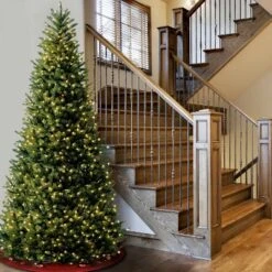 National Tree Company 10' Pre-lit Full Natural Fraser Fir Artificial Christmas Tree With Clear Lights -Northlight Sale GUEST bfa8369b f7ea 47c3 a784 8f2de707baea