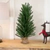 Northlight 2 FT Traditional Scottsdale Mini Pine Artificial Christmas Tree With Burlap, Unlit -Northlight Sale GUEST c3f10c62 a0d9 4ca3 aaaa a1b3f68fb4fc