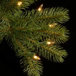 Prelit Slim Downswept Douglas Fir Artificial Christmas Tree Dual Color Lights - National Tree Company 11 Prelit Slim Downswept Douglas Fir Artificial Christmas Tree Dual Color Lights - National Tree Company -Northlight Sale GUEST c7d34985 2c67 4a30 b7dc db4382962ee1