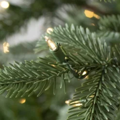 Balsam Hill 9' Clear LED European Fir Tree -Northlight Sale GUEST cb9c729a 39c9 40d7 8406 f65baa424fcf
