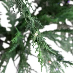 Northlight Pre-Lit Medium Weeping Cedar IPT Artificial Christmas Tree - 6.5' - Dual Color LED Lights -Northlight Sale GUEST d1c63646 f460 4a3a 8c6c 8fbb6bfcea87