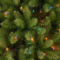 National Tree Company 7 Ft Artificial Pre-Lit Slim Christmas Tree, Green, Kingswood Fir, Multicolor Lights, Includes Stand -Northlight Sale GUEST e117f9a9 01dc 4827 93fa 94c2b701b61e