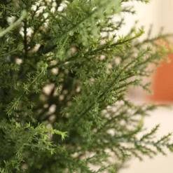 DR.Planzen Faux Cypress Topiary Trees For Outdoors, Fake Cypress Trees For Home Decor Office Living Room Porch Patio Perfect Housewarming Gift -Northlight Sale GUEST e2644e3b ed6d 48e0 b5d2 5361d873a2b9