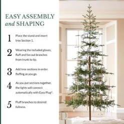 Balsam Hill Pre-Lit Alpine Balsam Artificial Christmas Tree -Northlight Sale GUEST e3d75d65 e741 46b8 84ec bd9c9c6520a7