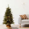 4' Prelit Evergreen Artificial Christmas Tree In Burlap Bag Clear Lights - National Tree Company 1 4' Prelit Evergreen Artificial Christmas Tree In Burlap Bag Clear Lights - National Tree Company -Northlight Sale GUEST e4a6a075 b79c 42e6 90bc 256e4e019563