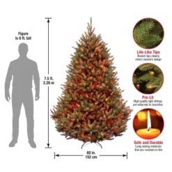 7.5' Prelit Natural Fraser Fir Artificial Christmas Tree Multicolor Lights - National Tree Company 9 7.5' Prelit Natural Fraser Fir Artificial Christmas Tree Multicolor Lights - National Tree Company -Northlight Sale GUEST e5eeffdd 3081 458f 9b3c f37835a9bab7