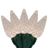 Northlight LED C6 Faceted Christmas Lights - Warm White - 15.75’ Green Wire - 50ct 2 Northlight LED C6 Faceted Christmas Lights - Warm White - 15.75’ Green Wire - 50ct -Northlight Sale GUEST ea419ae4 47cb 437f 8266 ec4ecf38c86a
