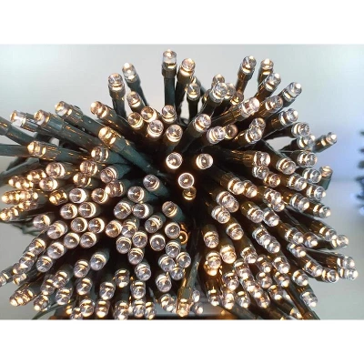 Celebrations LED Micro/5mm Clear/Warm White 100 Ct String Christmas Lights 16.24 Ft. 3 Celebrations LED Micro/5mm Clear/Warm White 100 Ct String Christmas Lights 16.24 Ft.