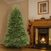 Unlit Dunhill Fir Artificial Christmas Tree - National Tree Company -Northlight Sale GUEST f4d0cf73 e6fe 4dd9 8ba9 f593d876ef5e