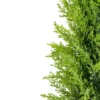 Northlight 1.4 FT Upswept Frosted Cedar Artificial Christmas Tree - Unlit -Northlight Sale GUEST f6121c80 3b47 481f ac22 01731b768b5c