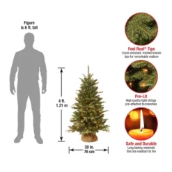 4' Prelit Evergreen Artificial Christmas Tree In Burlap Bag Clear Lights - National Tree Company -Northlight Sale GUEST f731240e eee0 4625 bb9e 7e2270922c89