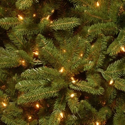 National Tree Company 6.5' Prelit Pencil Slim Grand Fir Artificial Christmas Tree Clear Lights 4 National Tree Company 6.5' Prelit Pencil Slim Grand Fir Artificial Christmas Tree Clear Lights - Image 2