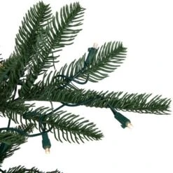 Northlight Real Touch™️ Pre-Lit Pencil Nordmann Fir Artificial Christmas Tree - 6.5' - Warm Clear LED Lights -Northlight Sale GUEST fe619e69 1844 457b bf65 1314e103d682